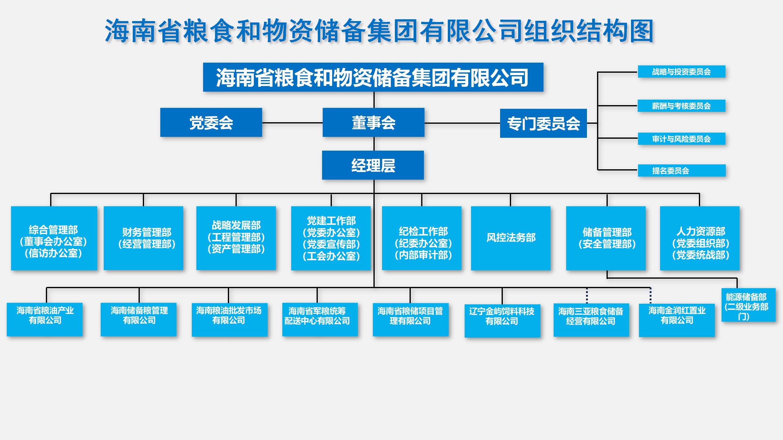 琼储人海南省粮食和物资储备集团有限公司组织结构图二级20250401_01(1).jpg
